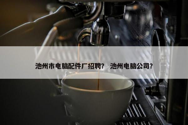 池州市电脑配件厂招聘？ 池州电脑公司？