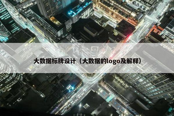 大数据标牌设计（大数据的logo及解释）
