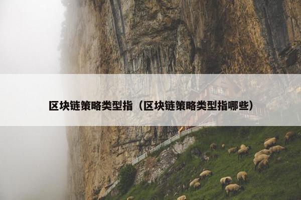 区块链策略类型指（区块链策略类型指哪些）