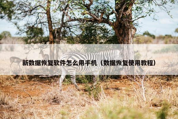 新数据恢复软件怎么用手机（数据恢复使用教程）