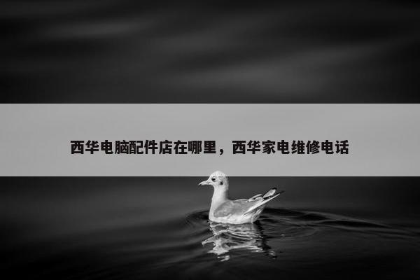 西华电脑配件店在哪里，西华家电维修电话