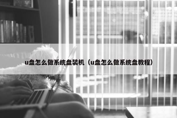 u盘怎么做系统盘装机（u盘怎么做系统盘教程）