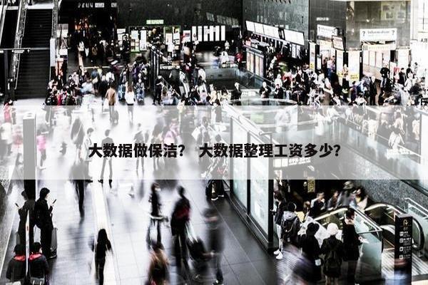 大数据做保洁？ 大数据整理工资多少？