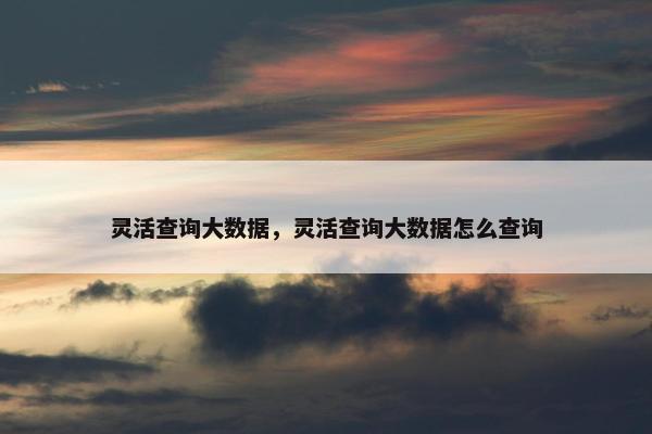 灵活查询大数据，灵活查询大数据怎么查询