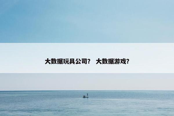 大数据玩具公司？ 大数据游戏？