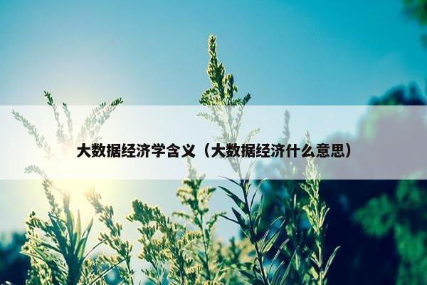 大数据经济学含义（大数据经济什么意思）