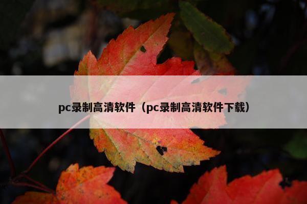 pc录制高清软件（pc录制高清软件下载）