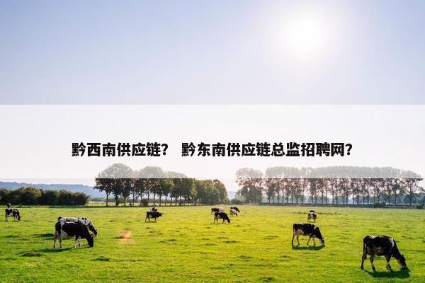 黔西南供应链？ 黔东南供应链总监招聘网？