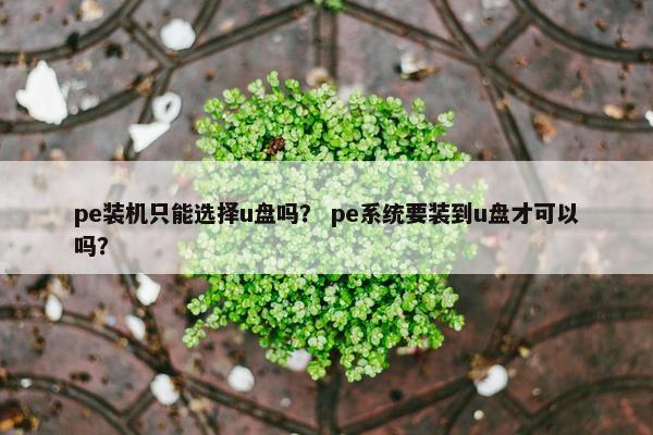 pe装机只能选择u盘吗？ pe系统要装到u盘才可以吗？