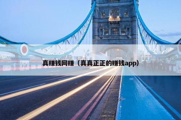 真赚钱网赚（真真正正的赚钱app）