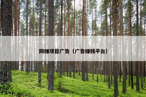 网赚项目广告（广告赚钱平台）