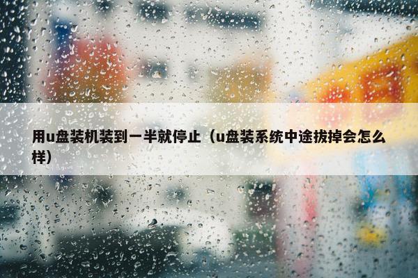 用u盘装机装到一半就停止（u盘装系统中途拔掉会怎么样）