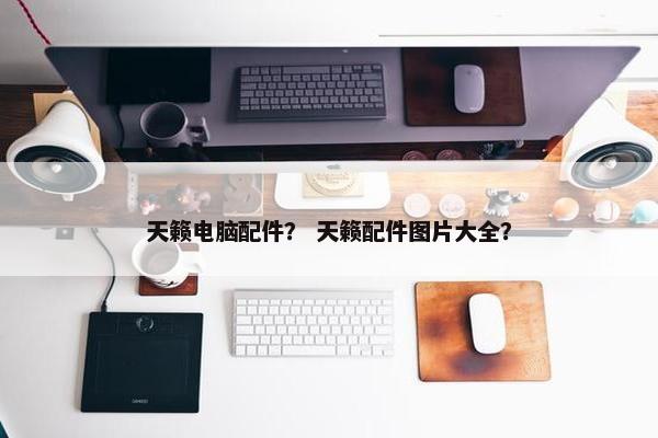 天籁电脑配件？ 天籁配件图片大全？