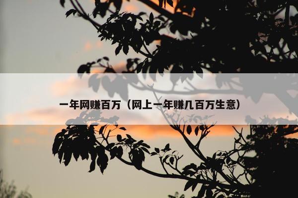 一年网赚百万（网上一年赚几百万生意）