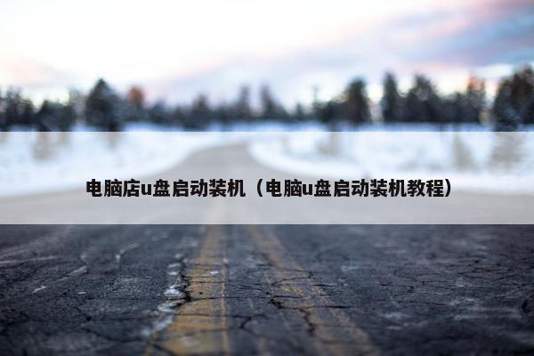 电脑店u盘启动装机（电脑u盘启动装机教程）