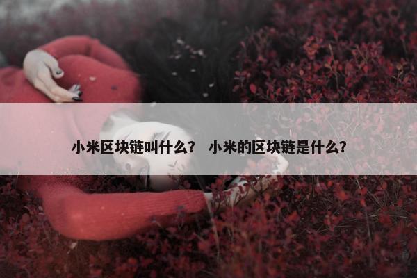小米区块链叫什么？ 小米的区块链是什么？