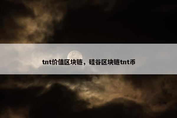 tnt价值区块链，硅谷区块链tnt币