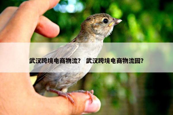 武汉跨境电商物流？ 武汉跨境电商物流园？