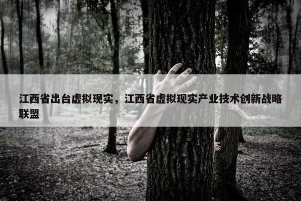 江西省出台虚拟现实，江西省虚拟现实产业技术创新战略联盟