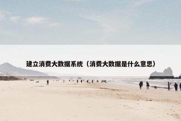 建立消费大数据系统（消费大数据是什么意思）