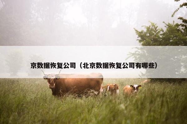 京数据恢复公司（北京数据恢复公司有哪些）