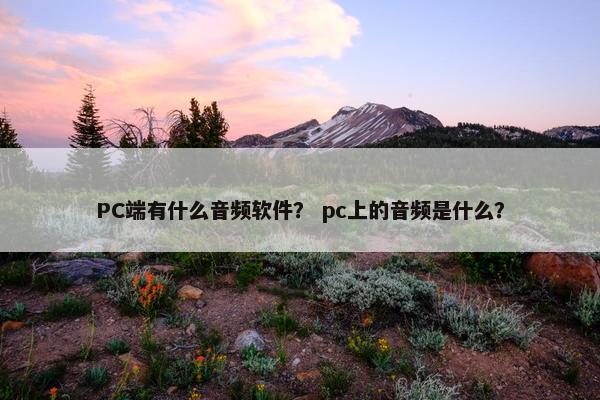 PC端有什么音频软件？ pc上的音频是什么？