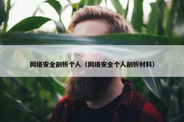 网络安全剖析个人（网络安全个人剖析材料）