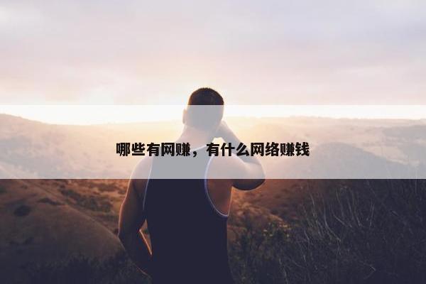 哪些有网赚，有什么网络赚钱