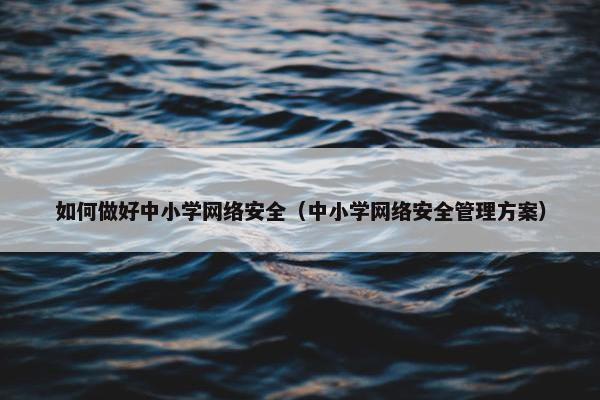 如何做好中小学网络安全（中小学网络安全管理方案）