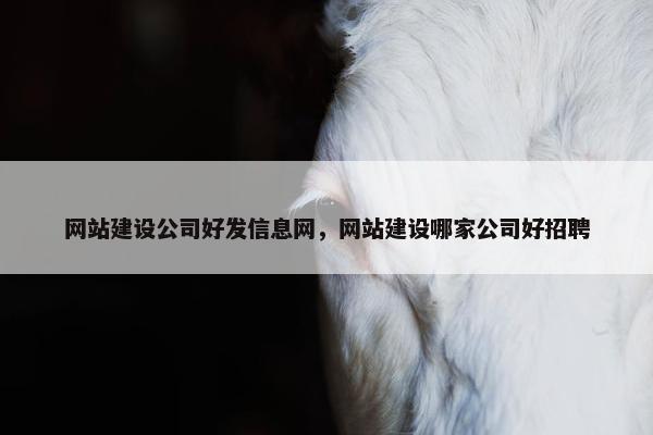 网站建设公司好发信息网，网站建设哪家公司好招聘