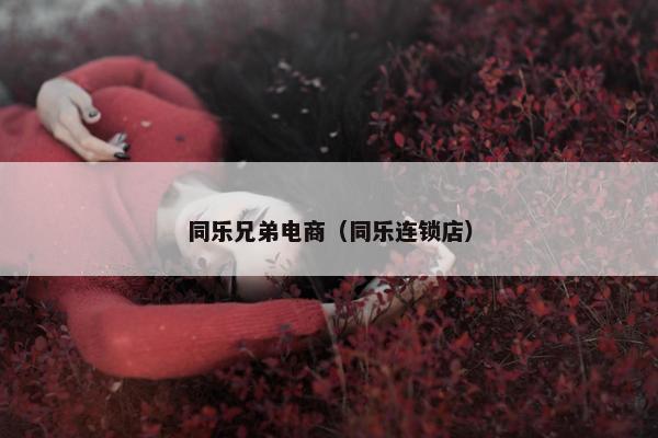 同乐兄弟电商（同乐连锁店）