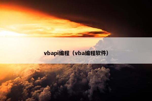 vbapi编程（vba编程软件）