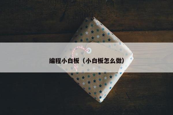 编程小白板（小白板怎么做）