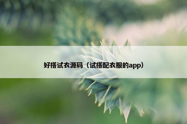 好搭试衣源码（试搭配衣服的app）