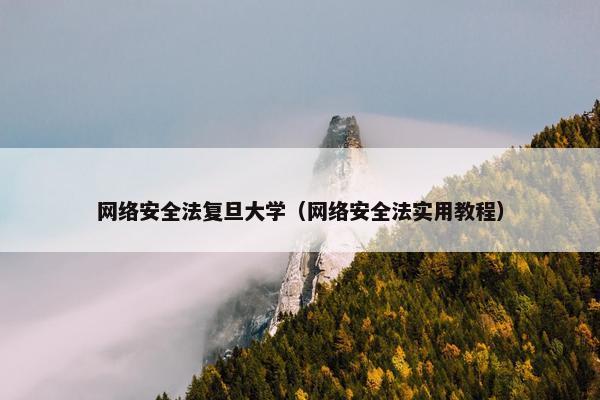 网络安全法复旦大学（网络安全法实用教程）