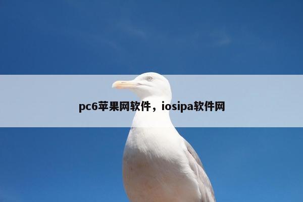 pc6苹果网软件，iosipa软件网