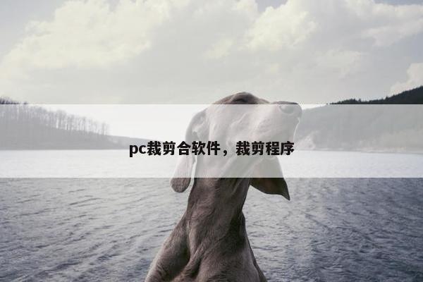 pc裁剪合软件，裁剪程序