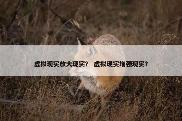 虚拟现实放大现实？ 虚拟现实增强现实？