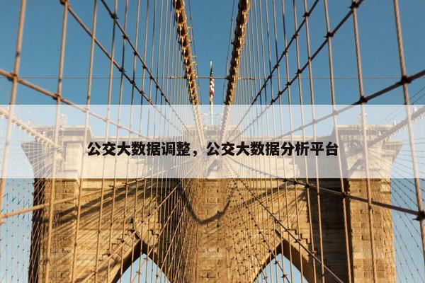 公交大数据调整，公交大数据分析平台