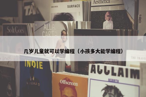 几岁儿童就可以学编程（小孩多大能学编程）