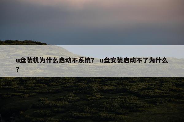 u盘装机为什么启动不系统？ u盘安装启动不了为什么？