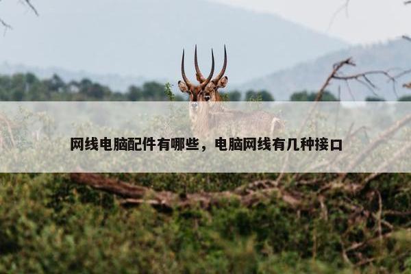 网线电脑配件有哪些，电脑网线有几种接口