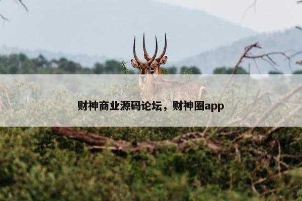 财神商业源码论坛，财神圈app