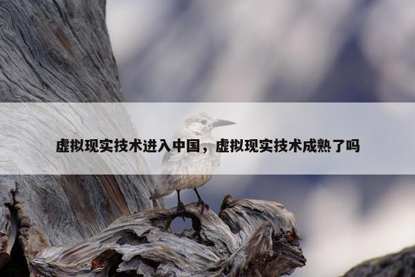 虚拟现实技术进入中国，虚拟现实技术成熟了吗