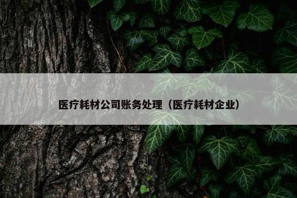 医疗耗材公司账务处理（医疗耗材企业）