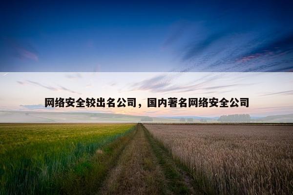 网络安全较出名公司，国内著名网络安全公司