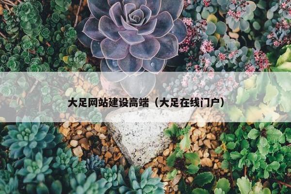大足网站建设高端（大足在线门户）