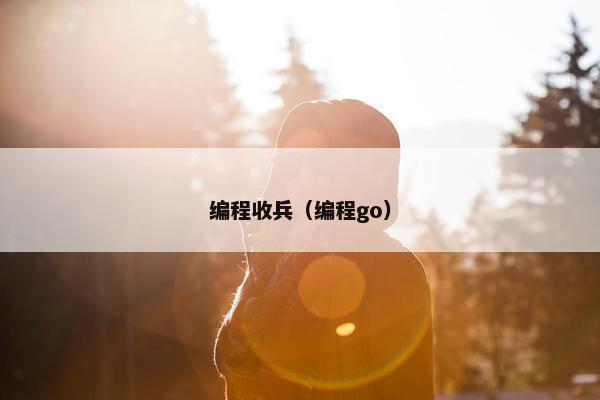编程收兵（编程go）
