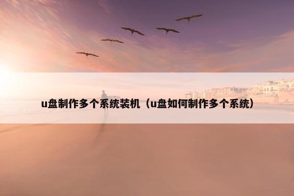 u盘制作多个系统装机（u盘如何制作多个系统）