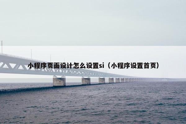 小程序页面设计怎么设置si（小程序设置首页）